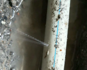 滨城卫生间测漏水多少钱