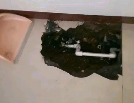 滨城卫生间测漏水多少钱